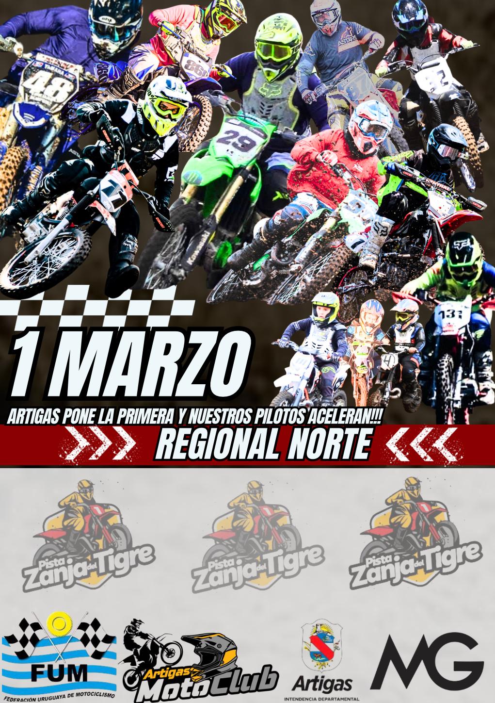 WhatsApp Image 2026-02-08 at 17.59.39